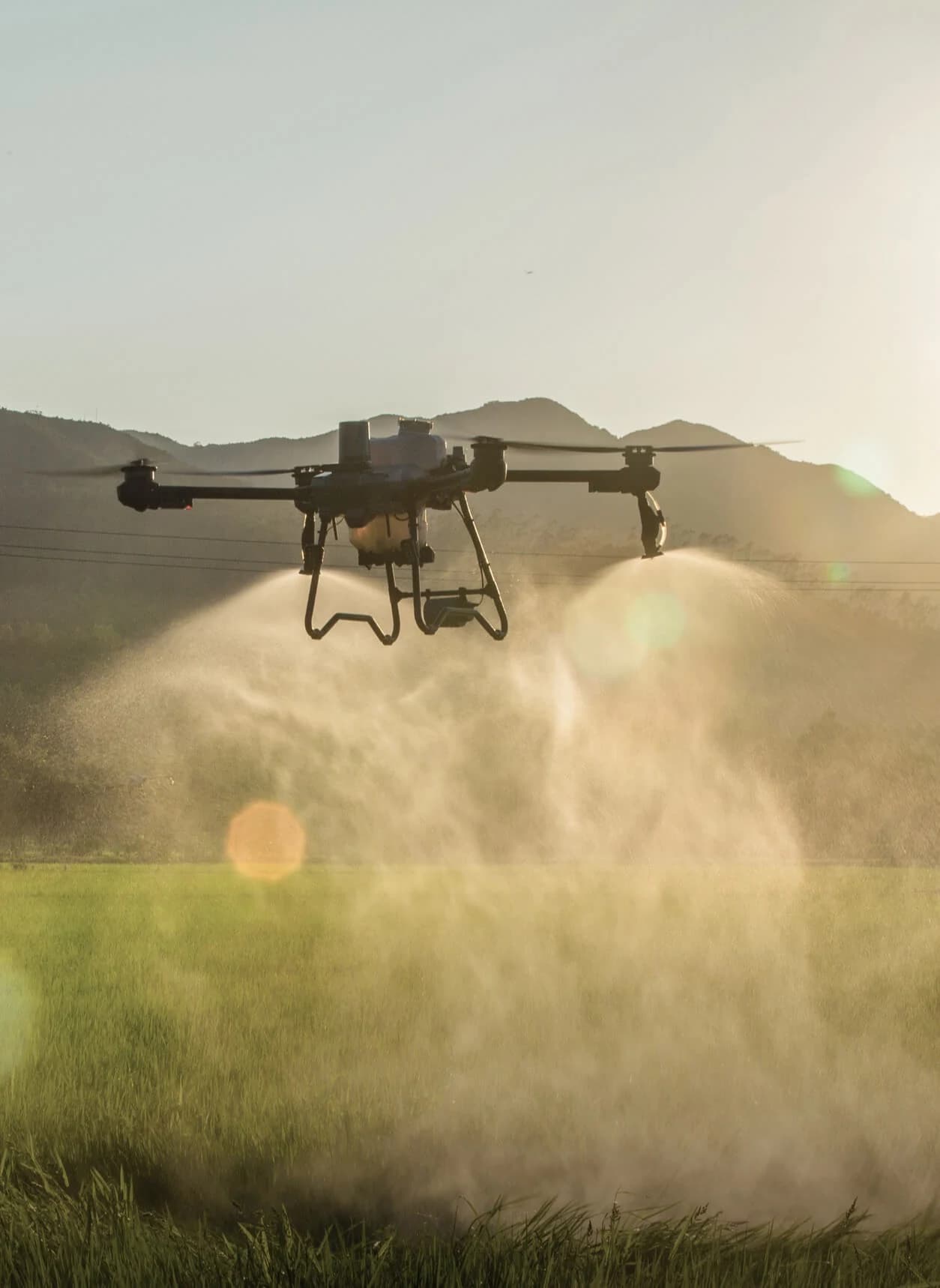 Pulverização de campo