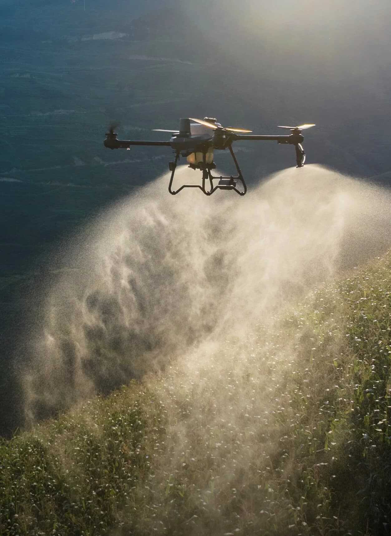 Pulverização em serra