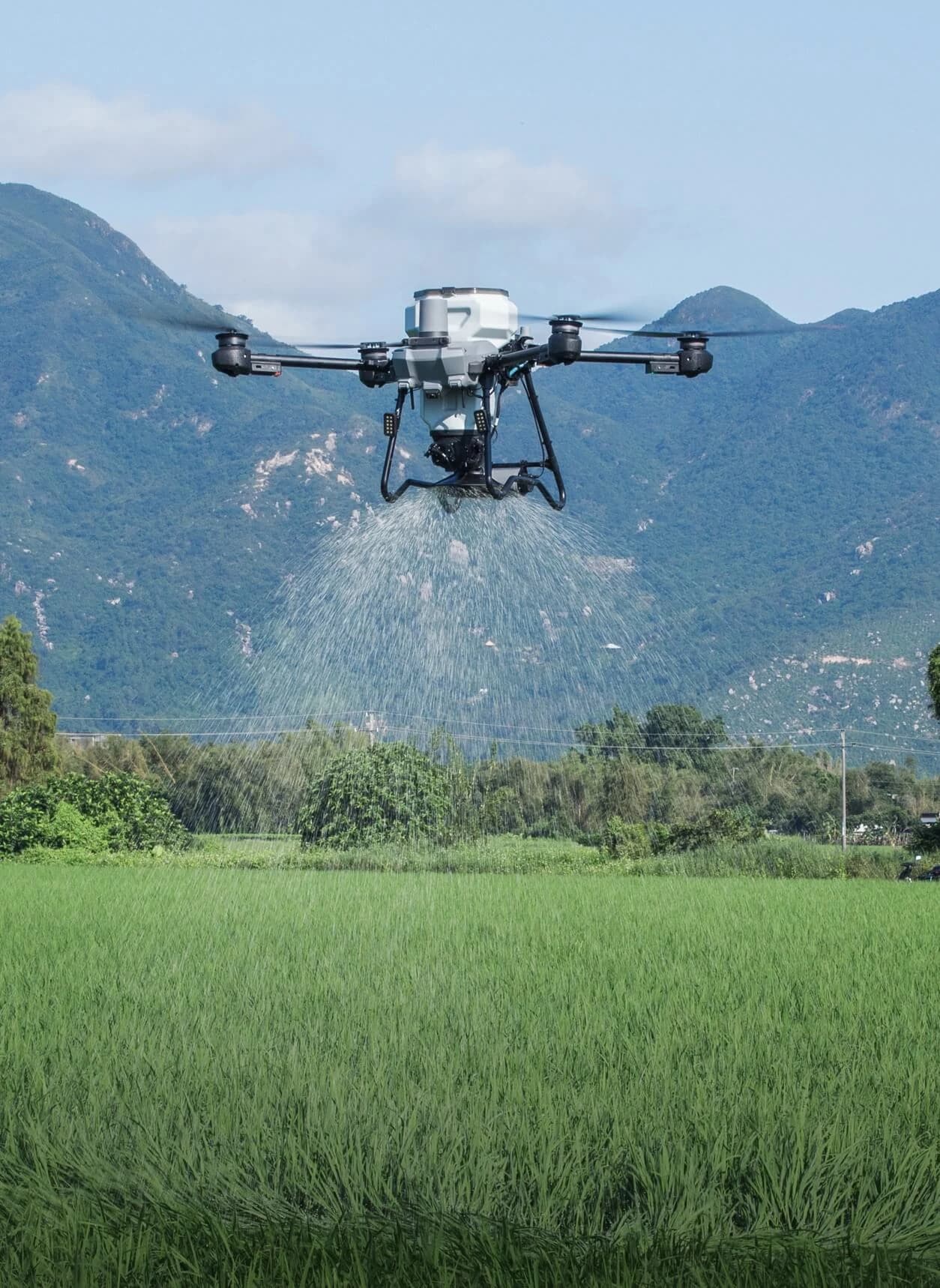 Distribuição de campo